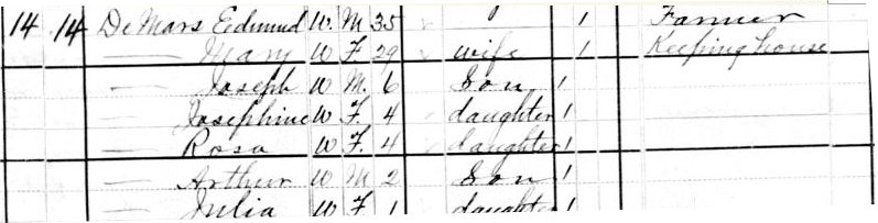 Image of portion of 1880 US Census showing DeMars